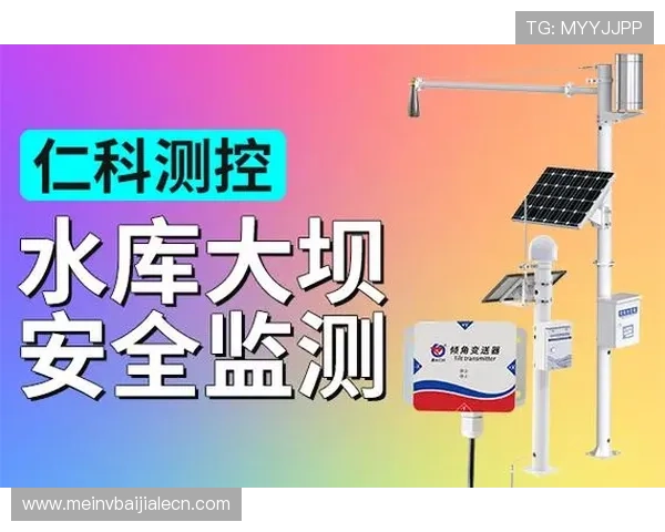 新手必看真人电子视讯注册流程详解及安全保障措施介绍