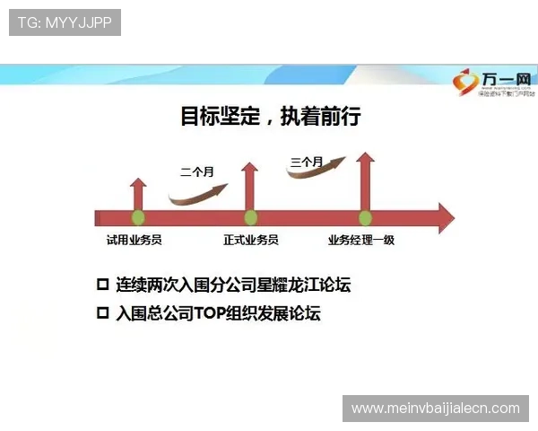 DS真人游戏的盈利技巧与策略分享，帮助玩家实现稳健盈利目标